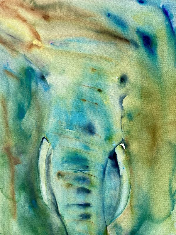 Elefant #4